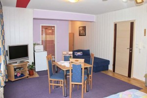 Apartmanska soba “President”- Ivana - Jeftini smještaj Zagreb